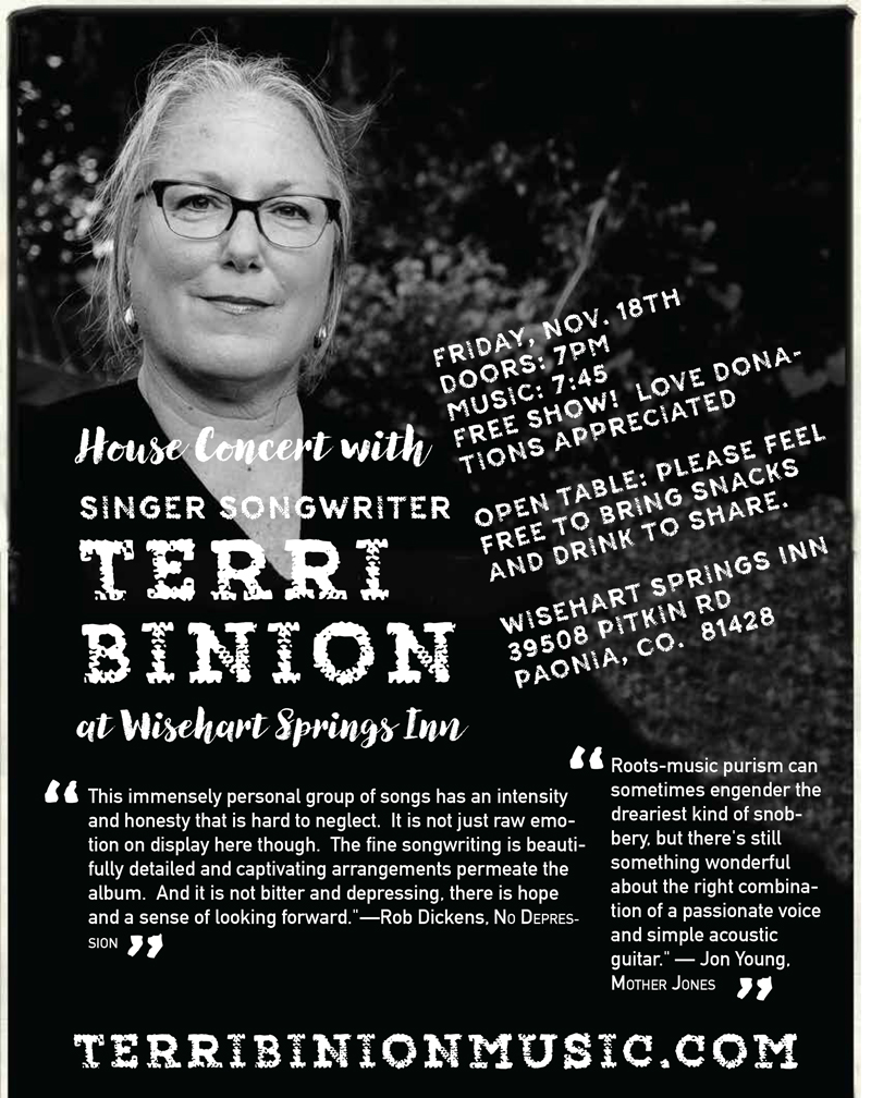 Terri Binion music poster